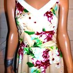 Voodoo Vixen Beige Floral Retro Dress M NWT Photo 1