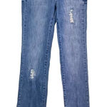 American Eagle Straight Leg Boho Jeans Size 0 Blue Photo 0