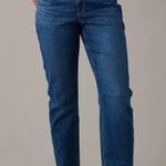 American Eagle Stretch Mom Jean Photo 0