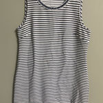 Talbots  Striped Shift Dress Sleeveless Crew Neck Knee Length Size 14 Petite Photo 0