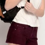 Aeropostale :  blackberry wine cutoff short Photo 0