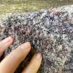 William Rast  size L fluffy long cozy lagenlook  cardigan Photo 8