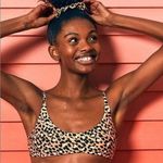 Aerie Tan Leopard Print Neutral Scoop Neck Summer Beach Bikini Top L Photo 0