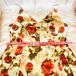 Isaac Mizrahi Dress Photo 5