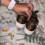 Mossimo Supply Co . Platforms Photo 4