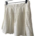 Banana Republic NWT  Cream A-Line Lined Pleated Eyelet Skirt with Pockets 6 Photo 2