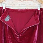 Anthropologie | Raspberry Montie Velvet Mini Skirt Photo 2