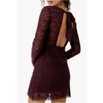Free People  Honey Honey Lace Long Sleeve Mini Dress in Potent Photo 1