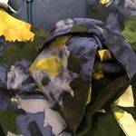 Oscar de la Renta New  floral belted dress Photo 5