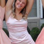 Windsor Mini Dress Photo 2