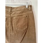 Bass Brown Corduroy Knee Length Pencil Skirt Light Brown Size 2 Photo 3