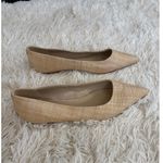 Sam Edelman  Woven Straw Pointed Toe Ballet Flats Beige Shoes Size 9 Timeless Photo 2
