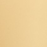 Girlfriend Collective  High Waist Bike Shorts Photo 3