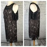 Loft  Boudoir Lace Cold Shoulder Black Nude Dress size 4 NEW NWT Photo 4