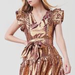 Love Shack Fancy Zoya Metallic Floral Dress – Size 6 Photo 1