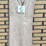 Revamped  Tan Lace Dress‎ Size XS Photo 0