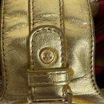 Miss Tina Caged Beast Gold Leather Handbag Photo 2