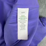 Aerie  Lurex Crinkle Babewatch One Piece Swimsuit Purple Size XL Photo 9