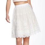 Endless Rose Floral Lace Skirt L Photo 0