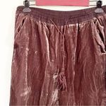 Anthropologie  Elevenses Size Small Sonia Brown Velvet Crop Jogger Pants Pull On Photo 2