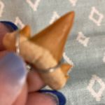 Wrapped Shark Tooth Necklace. Tan color and approximately 1” Tall. Photo 2