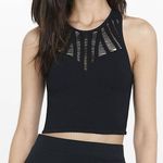 EXPRESS One Eleven Charcoal Gray Cutout Mesh Crop Tank Top Size Large Photo 0