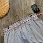 Tuckernuck Nwt  Blue stripe cinzia midi skirt‎ women’s size XXL Photo 3