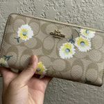 Coach Accordion Zip Wallet In Signature Canvas With Daisy Print c3370 Photo 0