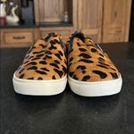 Steve Madden  Ecentric Leopard‎ Pony Hair Slip On Sneaker Shoes Real Fur Womens 8 Photo 2