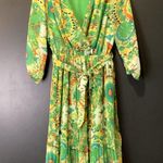 Kindred  Anthropologie chiffon long sleeve v neck pleated green geo print dress S Photo 0