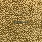 Rose Robert’s Quail Photo 7