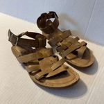Eileen Fisher Tan Leather Strappy Buckle Back Slip On Thong Sandals Womens 6.5 Photo 0