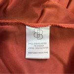 Baltic Born  Rust Velvet Maxi Dress Photo 9