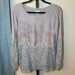 Sundance  Velvet Lace Long Sleeve Blouse Gray Size‎ Small Photo 1