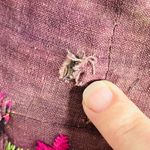 Vintage Bohemian Embroidered Patchwork Bum Belt Festival Cotton Fanny Waist Pack Photo 8