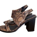 French Connection Lori Snakeskin Heels Womens 6.5 Sandals Open Toe Block Photo 0