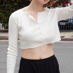 Brandy Melville Cropped Sweater Photo 0