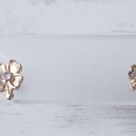 Stud Earrings Photo 0