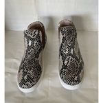 Cushionare CUSHIONAIRE Rebel Chelsea Boots Snake Print Pull On Flat Bootie Size 7.5 Photo 1