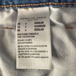American Eagle  SZ 4 Tomgirl Jeans Button-Fly Distressed Rips Whiskered Mid-Rise Photo 10