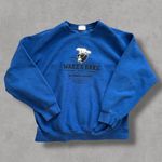 Vintage 90s Blue Heavyweight Sweatshirt Y2K Size XL Photo 0