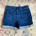 Lane Bryant  Blue Jean Shorts Photo 1