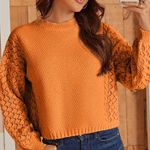 Oversized Long Sleeve Pullover Cropped Lantern Sleeve Chunky Knit Sweater Orange Photo 2