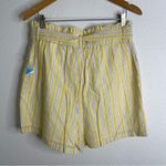 Draper James  Yellow Striped Paper Bag Pull On Shorts Size Large Photo 3