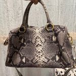 Cynthia Rowley  Snake Print Shoulder Bag with Gold Accents Photo 0