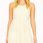 Free People  Embroidered Lace Sleeveless Dress Y2K Photo 0