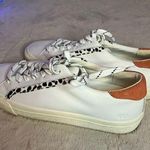 Madewell Women's Cow Print Low Top Sneakers Size 7 Multicolor Athletic Photo 1