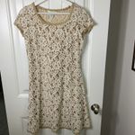 Sundance Sz S Dress Lace Fit & Flare Catalog Romantic Coquette Dainty Victorian Photo 1