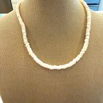 Beautiful Vtg Hawaii Puka Shell Silver Tone Clasp choker necklace unisex Photo 0