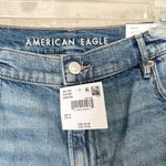 American Eagle Strigid Relaxed Distressed Short Photo 1